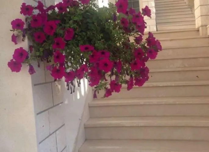 Lavendel Apartmán