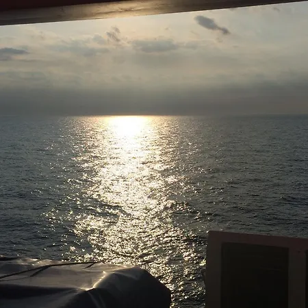 Lavendel تروغير