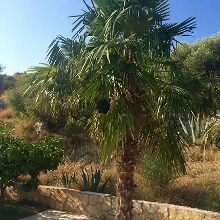 Lavendel Traù
